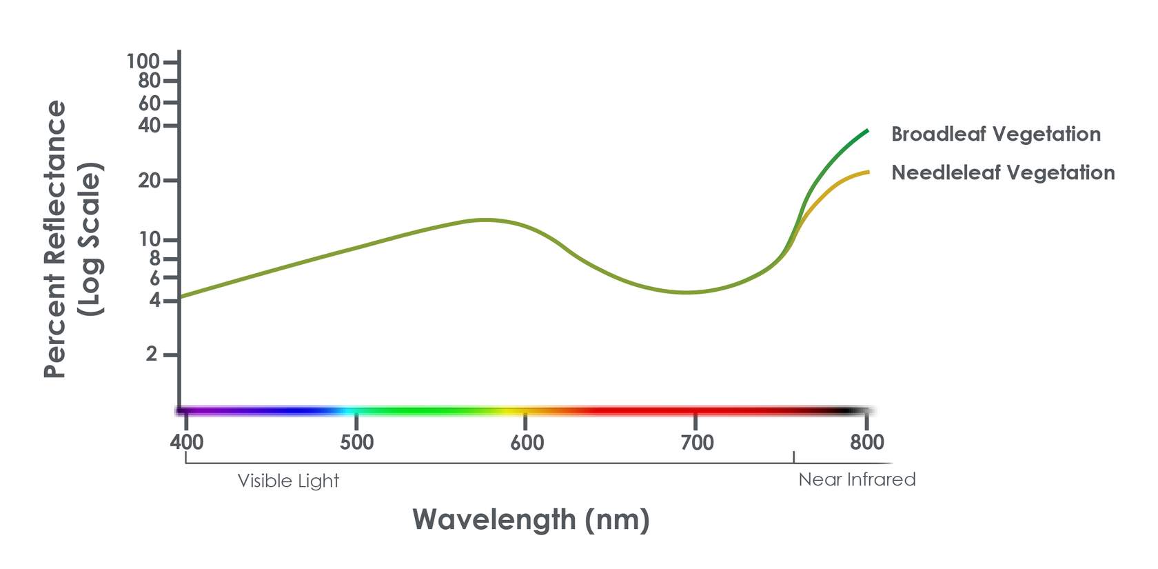 PercentReflectance_Graph_v5.8_VegOnly